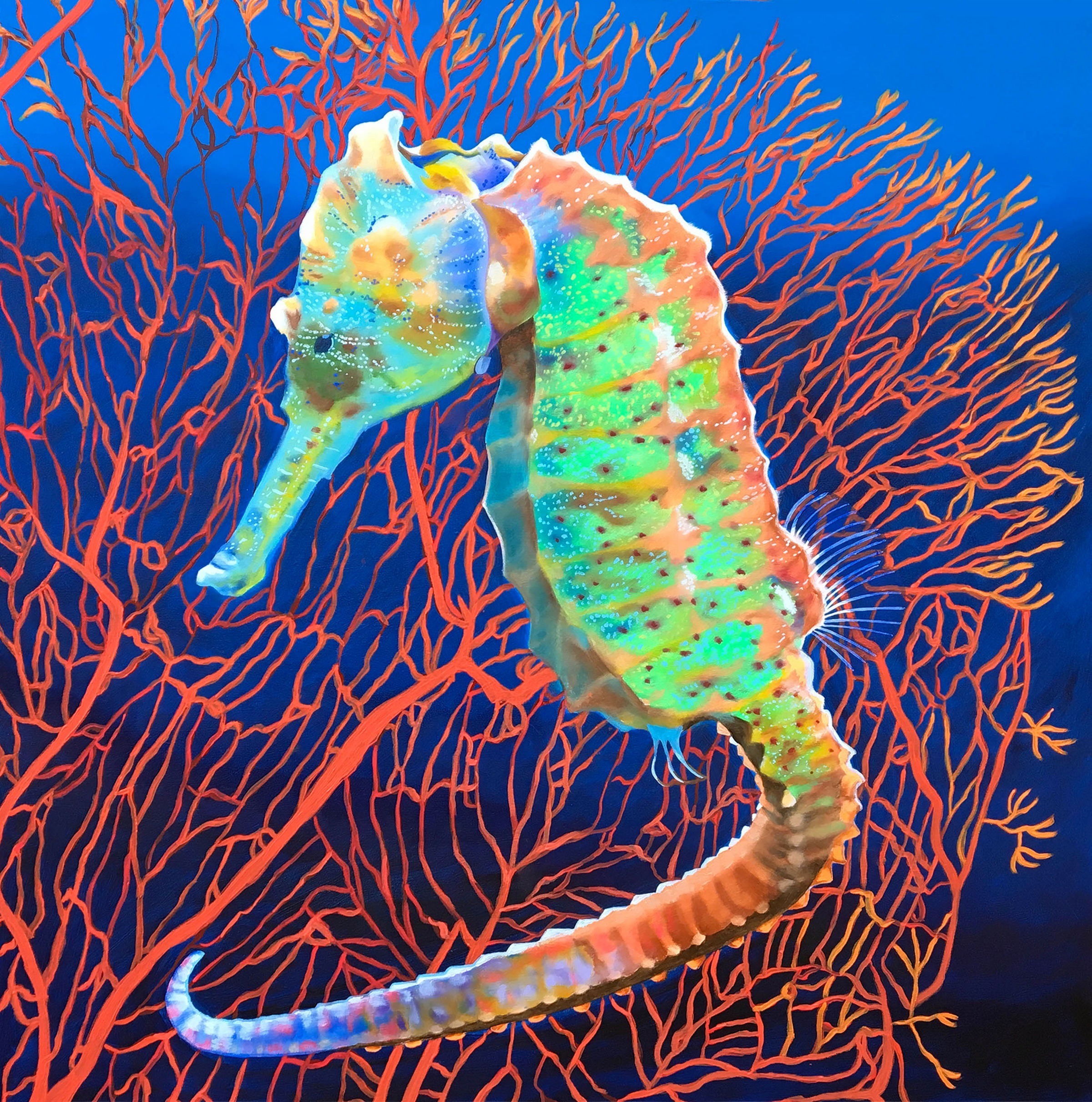 The Seahorse’s Odd Shape Makes It a Weapon of Stealth | Smithsonian