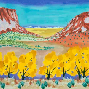 anasazi ruins