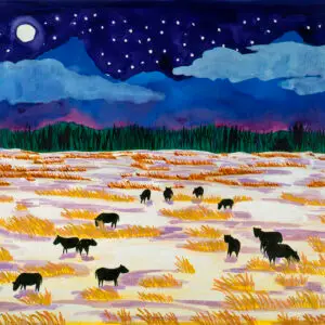 Taos night