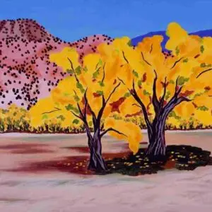 Ojo Cottonwoods