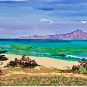 tropical beach