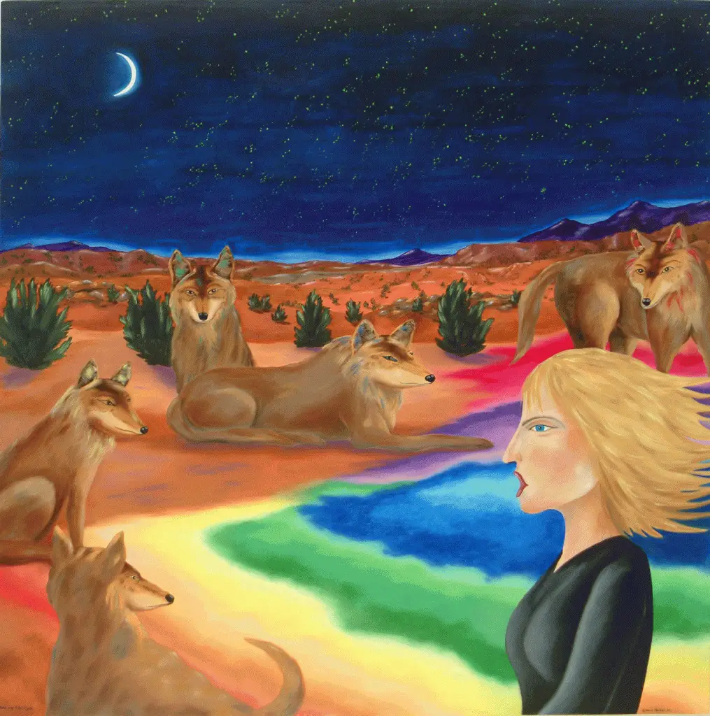 night desert