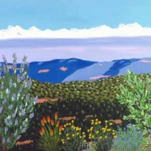 Summer View