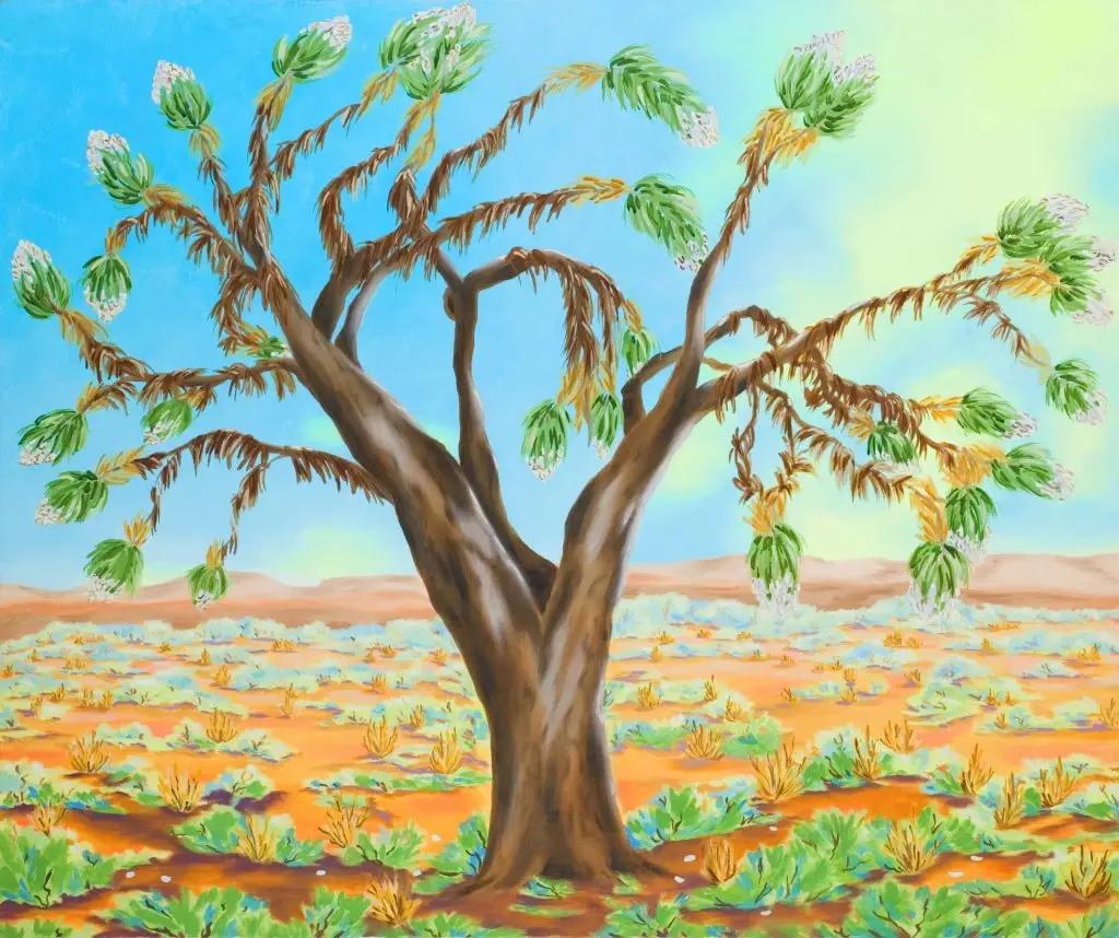 Joshua Tree