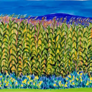 corn field