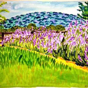 garden