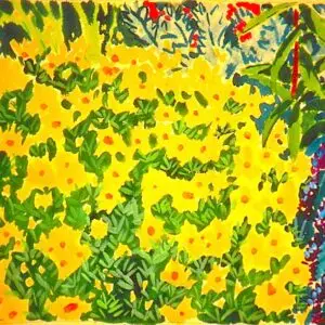 yellow flowers