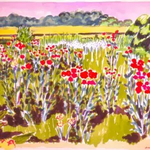 rose garden