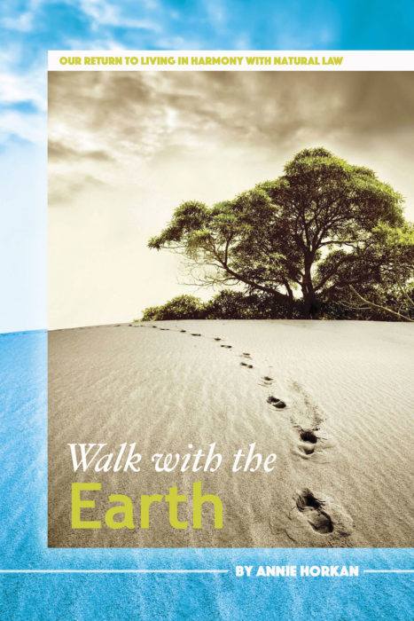 Walk With The Earth
