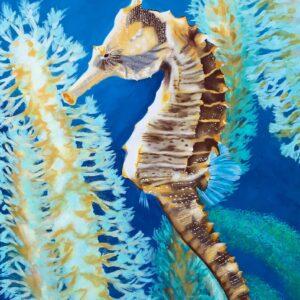 seahorse in coral