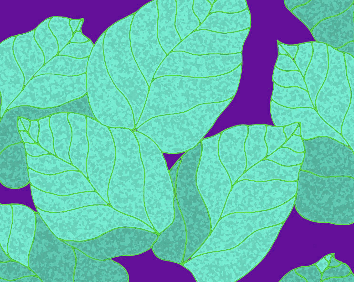 aqua leaves