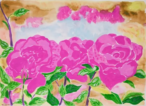 garden roses