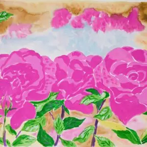 garden roses