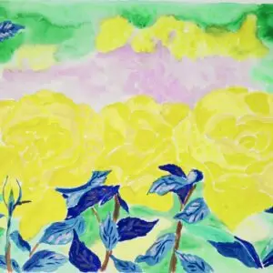 big roses
