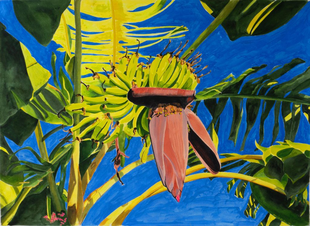 tropical bananas